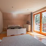 Apartman Nad Potokiem