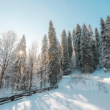 Nad Potokiem Lejlighed *