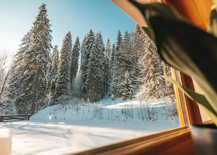 Nad Potokiem Leśnica