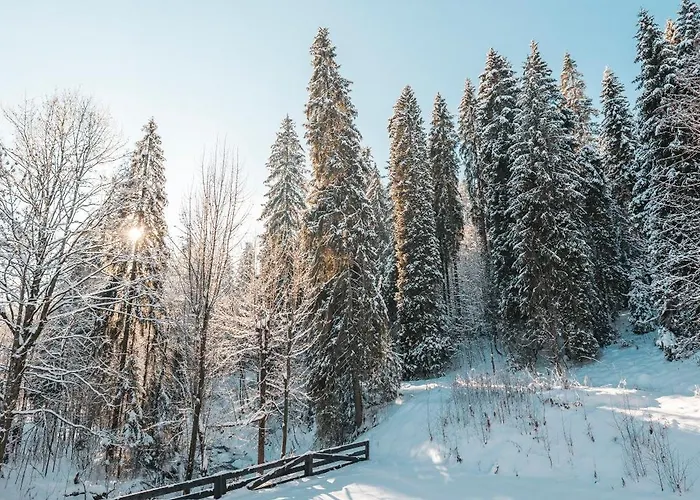 Nad Potokiem Apartmán *